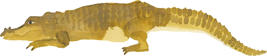 That's Mine Sisustustarra Crocodile