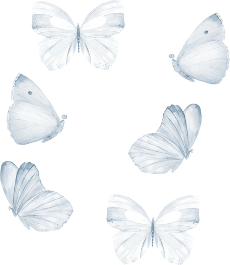 That's Mine Sisustustarra Butterfly 6-pack, Blue