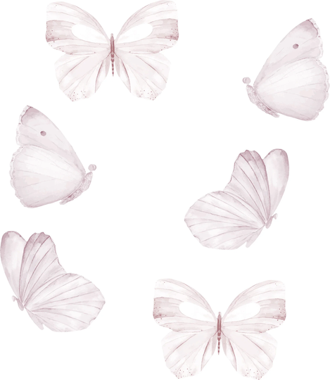 That's Mine Sisustustarra Butterfly 6-pack, White