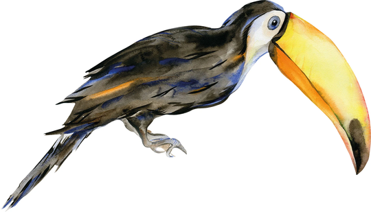 That's Mine Sisustustarra Rafi The Toucan